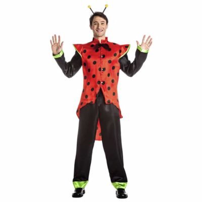 Costume Lord Coccinella