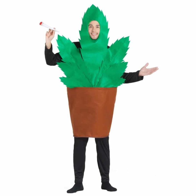 Costume da Vaso con Pianta di Maria