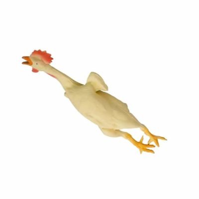 Pollo di Gomma