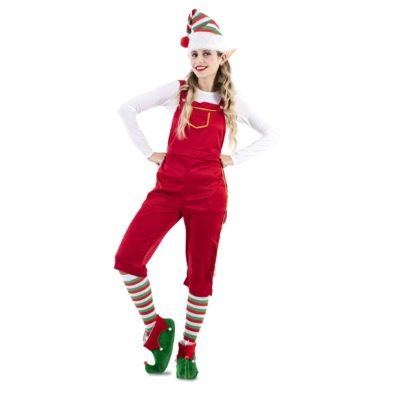 Costume Elfa